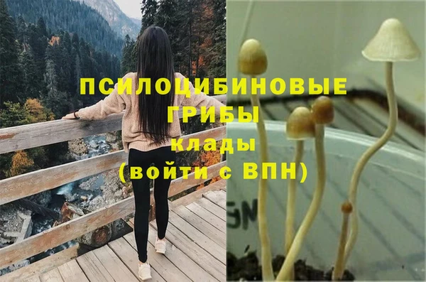 каннабис Бородино