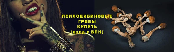 каннабис Бородино