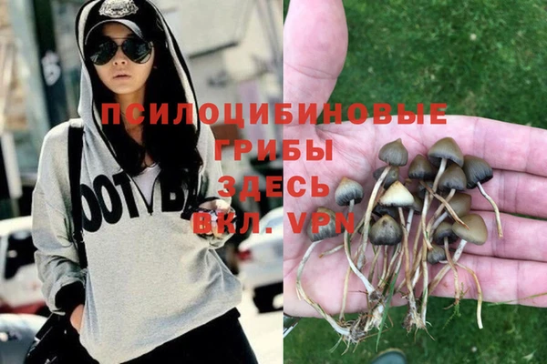 каннабис Бородино