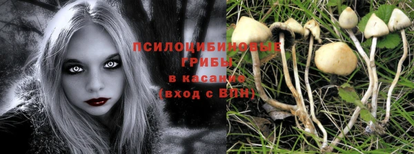 круглые Бронницы