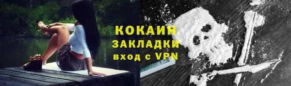 прущий лед Богданович
