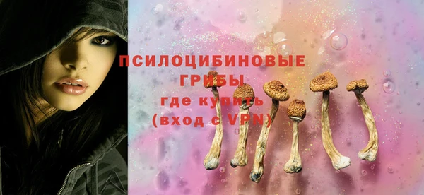 круглые Бронницы