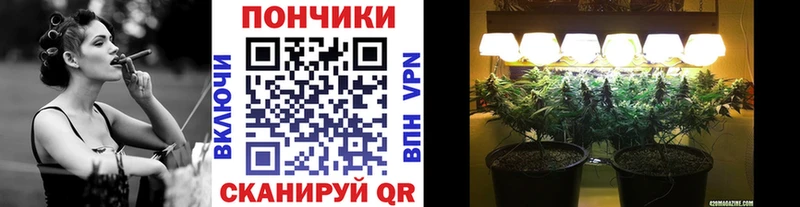 Канабис Ganja  закладка  Горнозаводск 